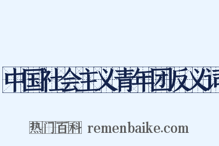 中国社会主义青年团反义词是什么意思的图片